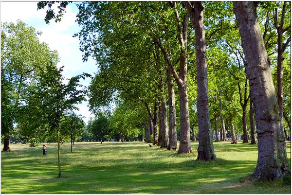 Les 6 meilleurs parcs où se ressourcer à Londres